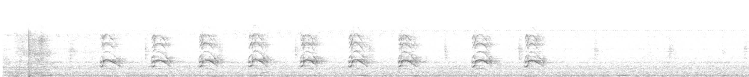 Chara Cerúlea - ML635103961