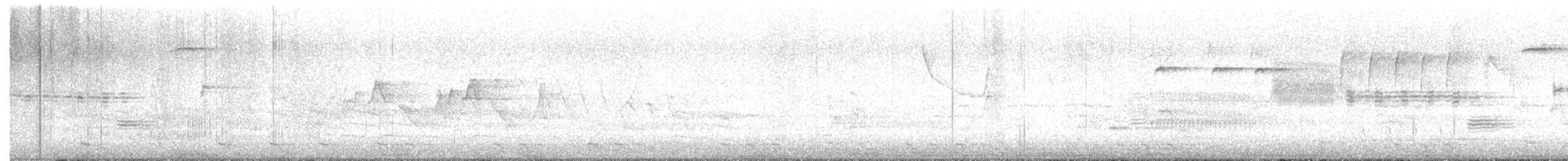 ハシグロカッコウ - ML635108905