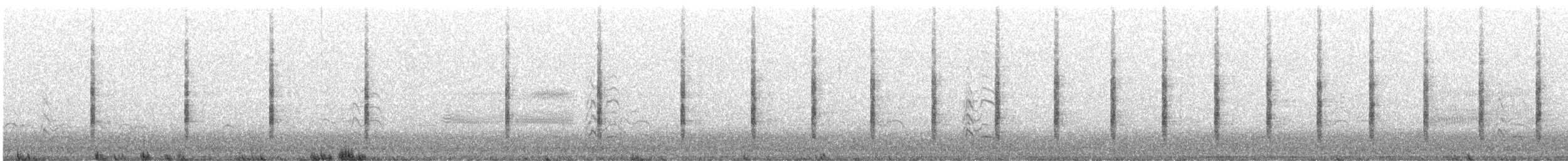 ヒガシオニクイナ（crepitans／waynei） - ML635109986
