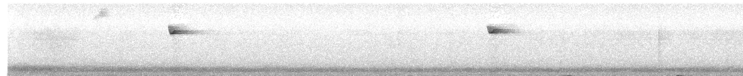 キメジロハエトリ - ML635110098