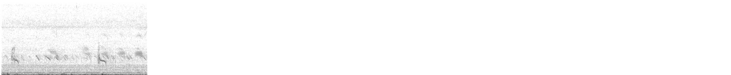 Stilt Sandpiper - ML635110696