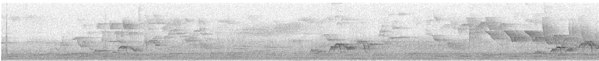 Swainson's Thrush - ML635112773