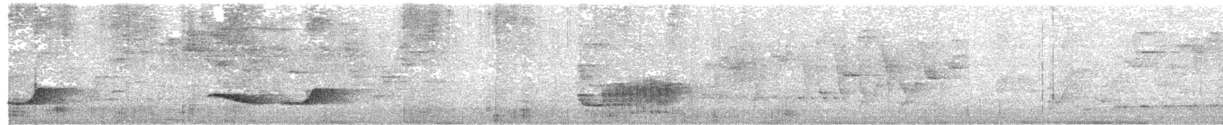 Varzea Schiffornis - ML635118726