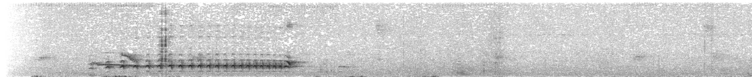 Plain-winged Antshrike - ML635120583