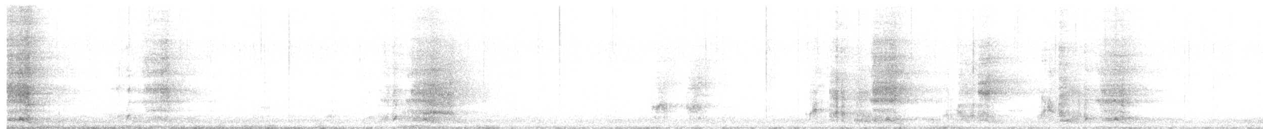 Yellow Wattlebird - ML635120790