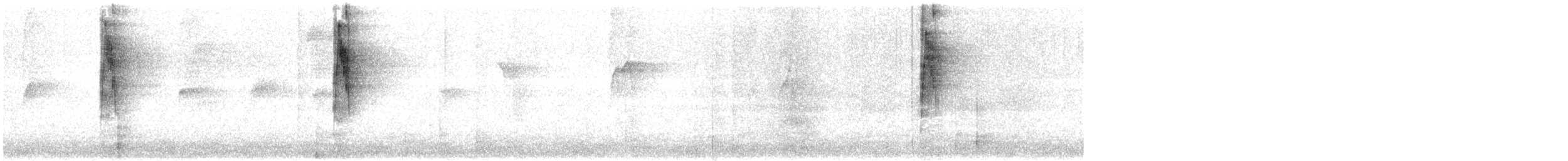 Squamate Antbird - ML635122022