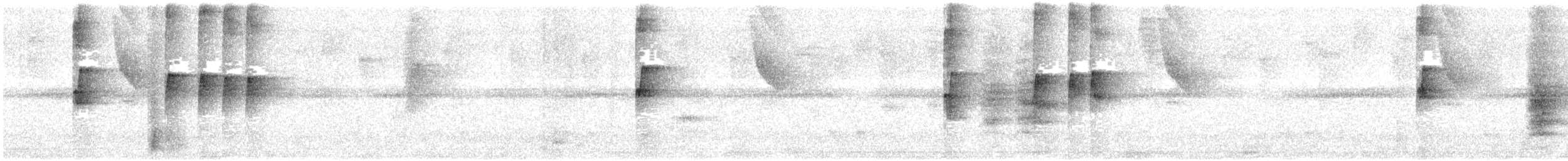 Gray-headed Tody-Flycatcher - ML635122146