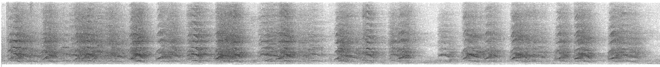 Chara Cerúlea - ML635122198
