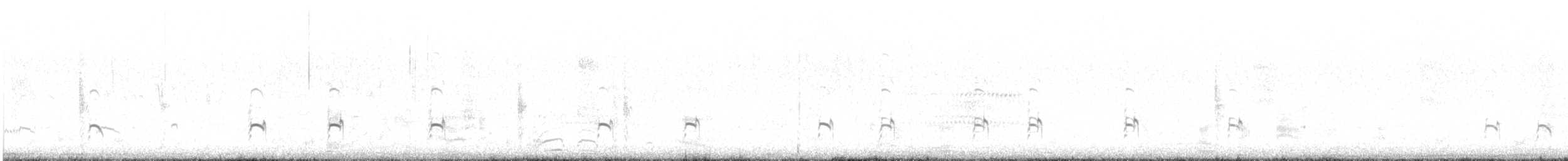 American Avocet - ML635125675