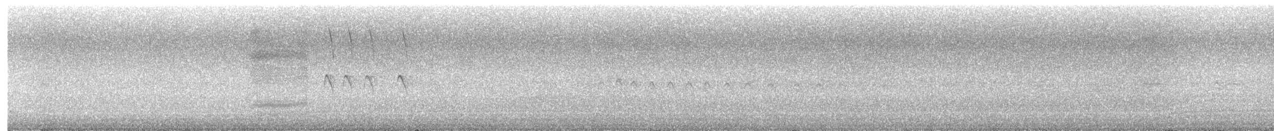 Black Phoebe - ML635128529