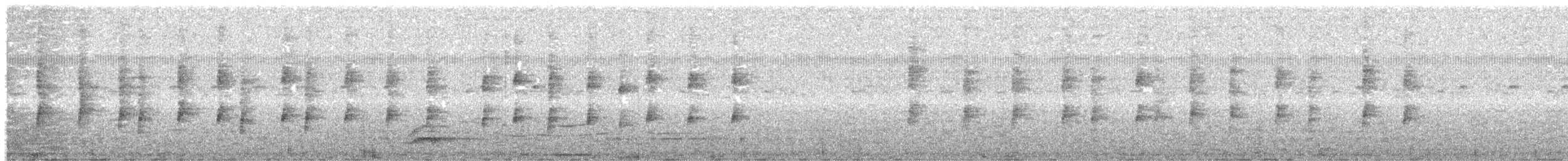 Mottle-cheeked Tyrannulet - ML635129474