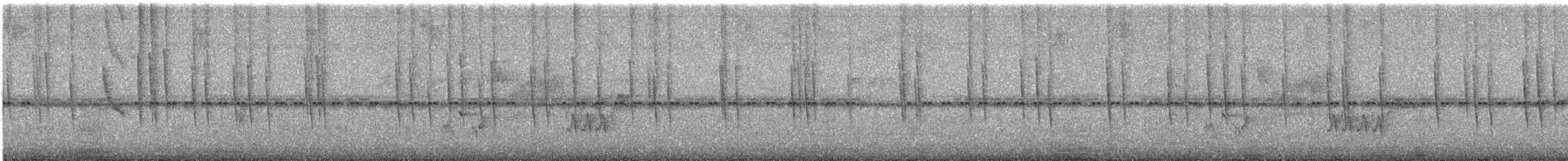 Colibri bourdon - ML635129647