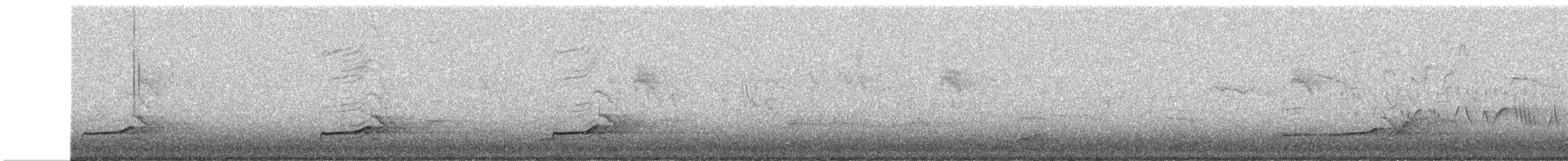 Northern Bobwhite - ML635133702