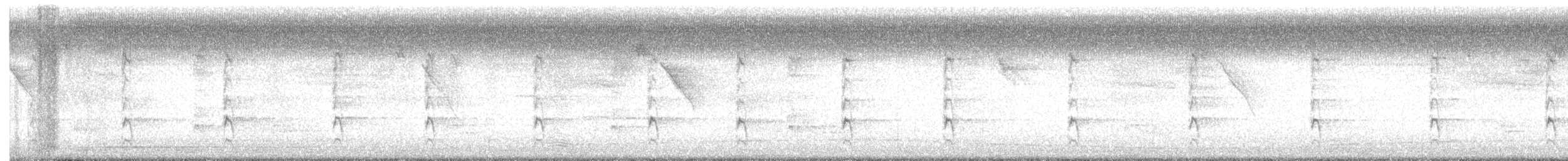 Puerto Rican Woodpecker - ML635137444