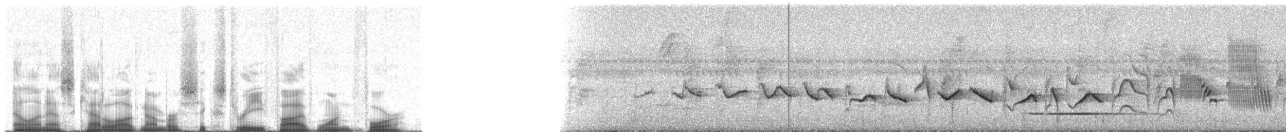 Kestane Karınlı Koca Tohumcul - ML63514