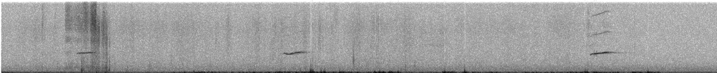Say's Phoebe - ML635141260