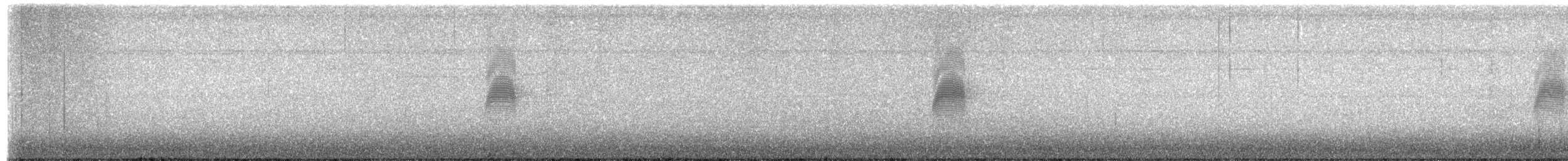 Kanadaschnepfe - ML635144435