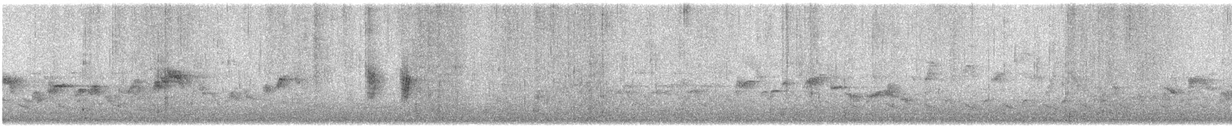 Warbling Vireo - ML635146327