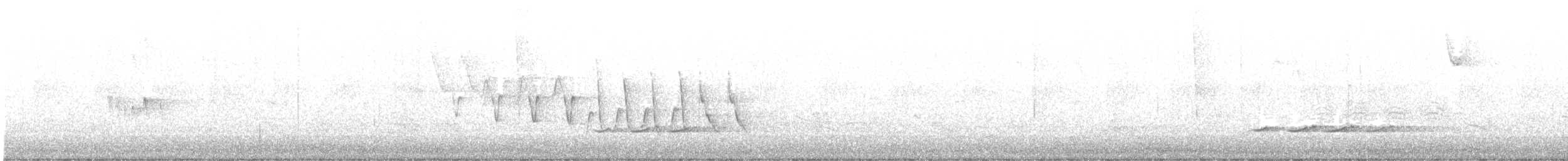 Northern Waterthrush - ML635147025