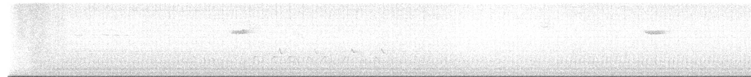 Brown Creeper - ML635147419
