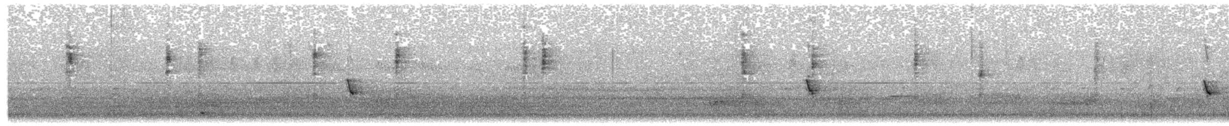 Méliphage de Nouvelle-Hollande - ML635147800