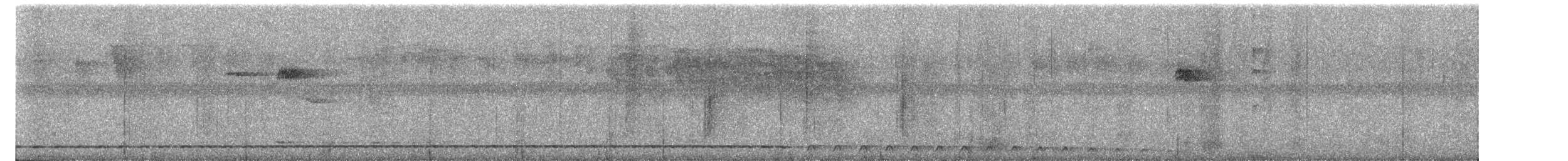 Short-tailed Antthrush - ML635147881