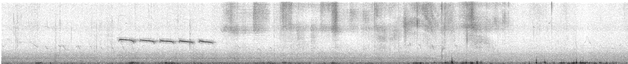 Northern Beardless-Tyrannulet - ML635149195