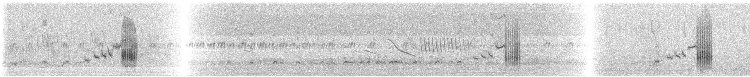 Bearded Tachuri - ML635149361