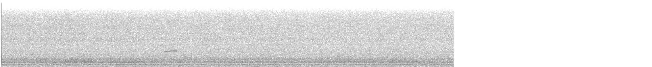 Musendrossel, unbestimmt - ML635150719