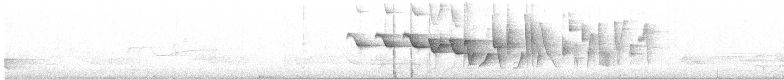 Paruline hochequeue - ML63515291