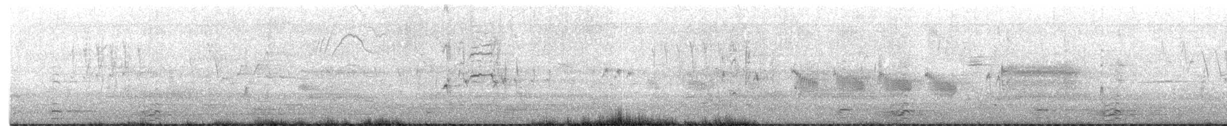 クロムクドリモドキ - ML635153398