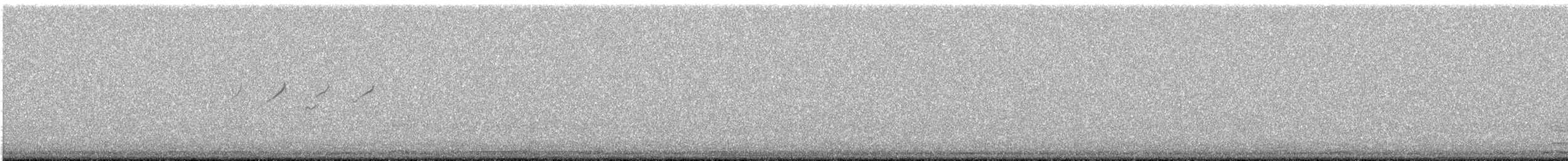 Solitary Sandpiper - ML635153657