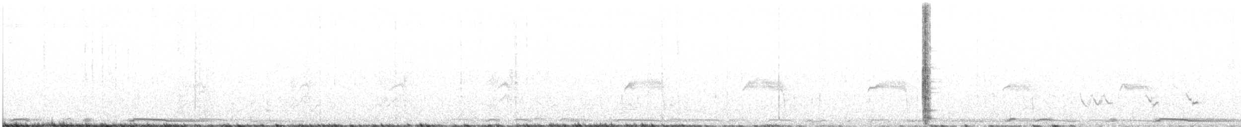 Western Wood-Pewee - ML635154684