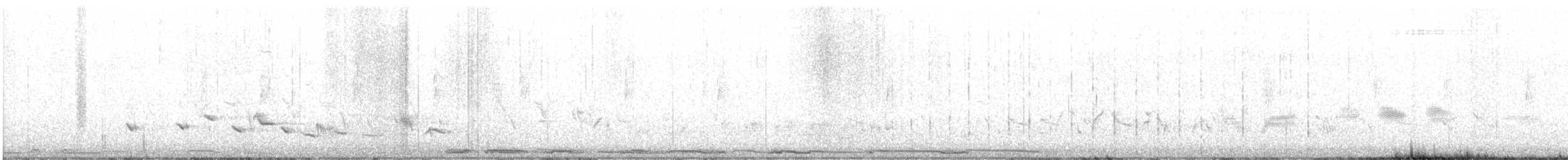 Scott's Oriole - ML635154791