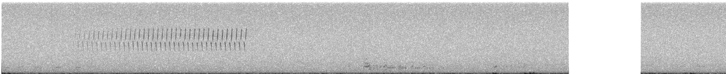 チャガシラヒメドリ - ML635155807