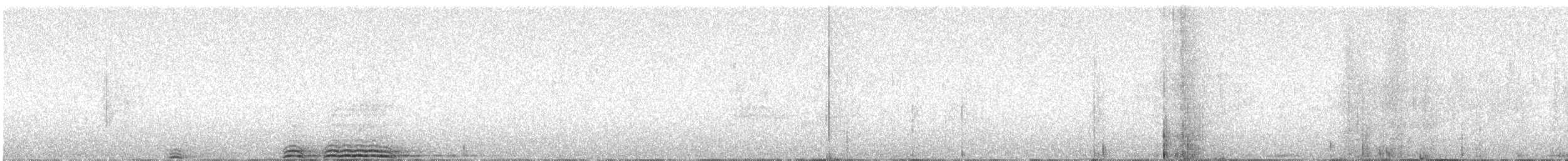 Chouette leptogramme - ML635157151