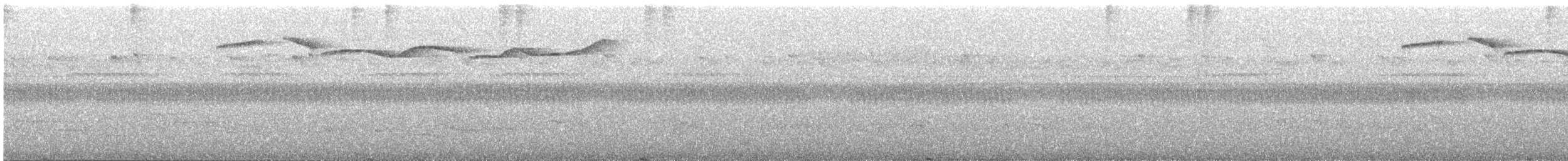 sierramadremarksanger - ML635159844