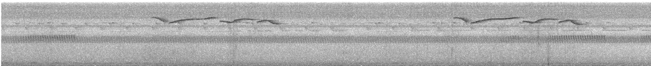 sierramadremarksanger - ML635159845
