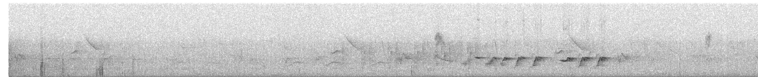 African Paradise-Flycatcher - ML635160961