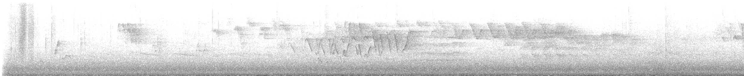 Chestnut-sided Warbler - ML635163041