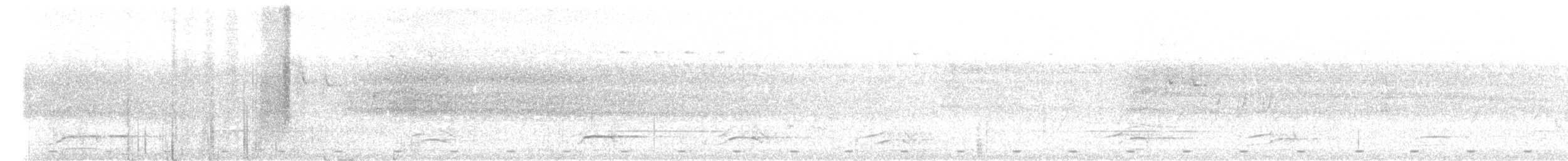Malabar Barbeti - ML635164668