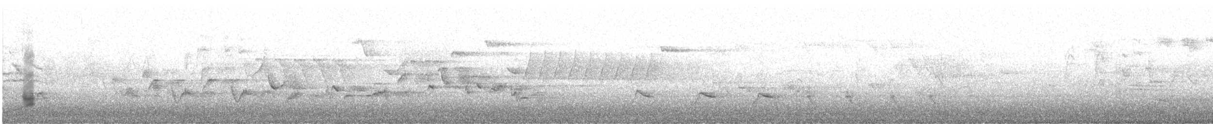 Gadwall (Common) - ML635165136