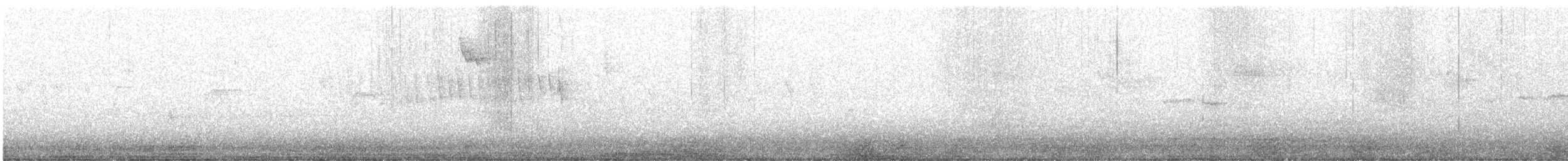Orange-crowned Warbler - ML635167695