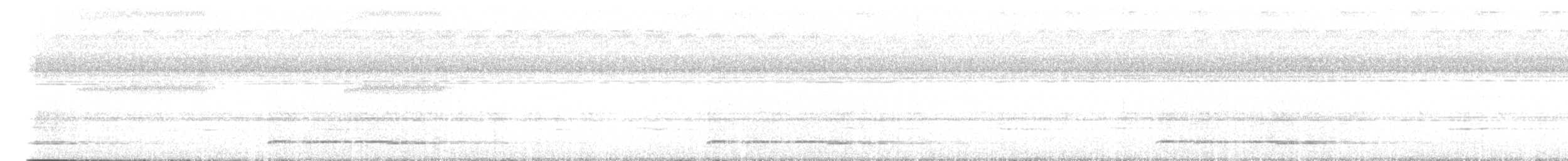 四聲杜鵑 - ML635172815