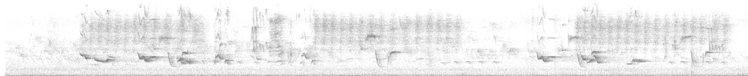 wren sp. - ML635174013