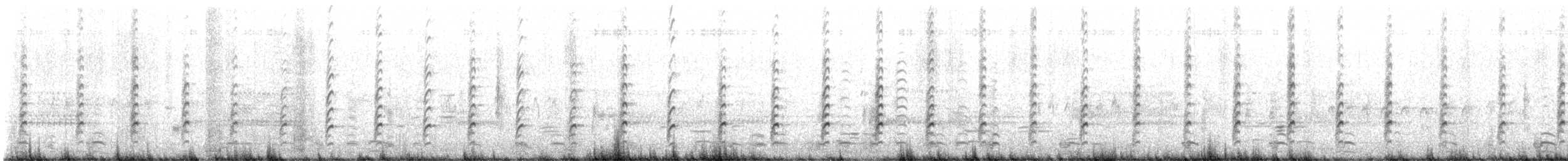 Black-necked Stilt - ML635176058