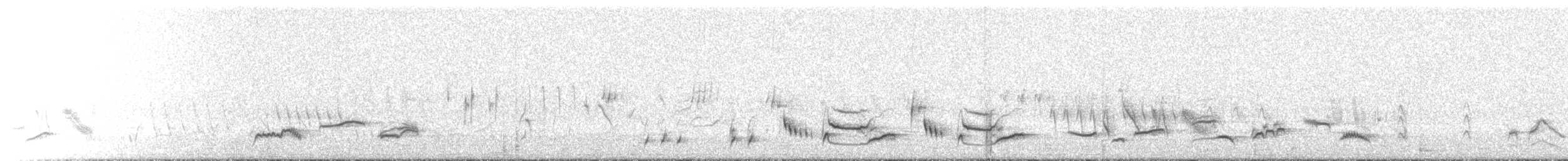 Eastern Orphean Warbler - ML635177163