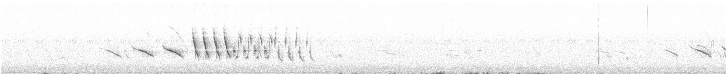 オジロヒメドリ - ML63517731