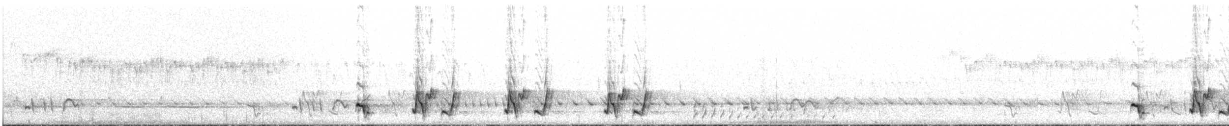 Schwarzkehl-Honigfresser - ML635182231