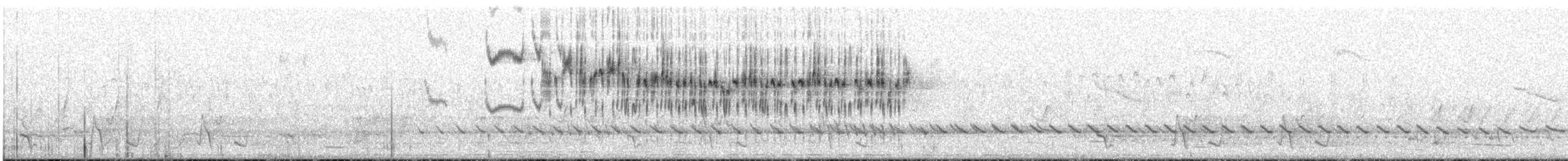 Splendid Fairywren - ML635182236